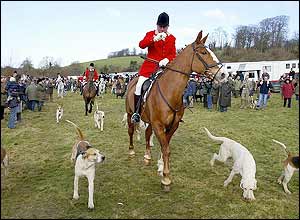 A hunt