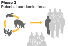 Flu virus mutation