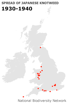 1930-1940