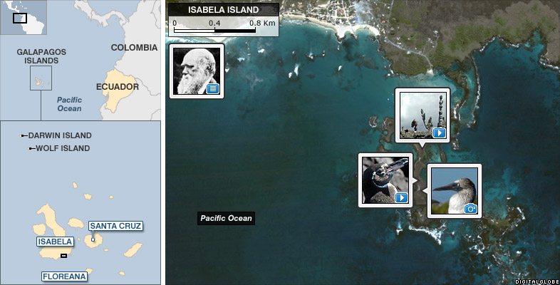Isabela Island
