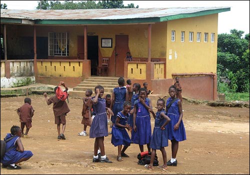 News image