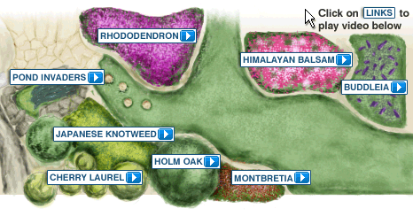 Alien Invaders Garden Map
