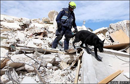 rescue dogs image