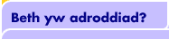 Beth yw adroddiad?