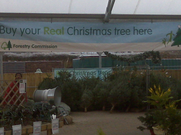 trees.jpg