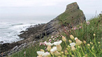 Worm's Head by Mike Davies
