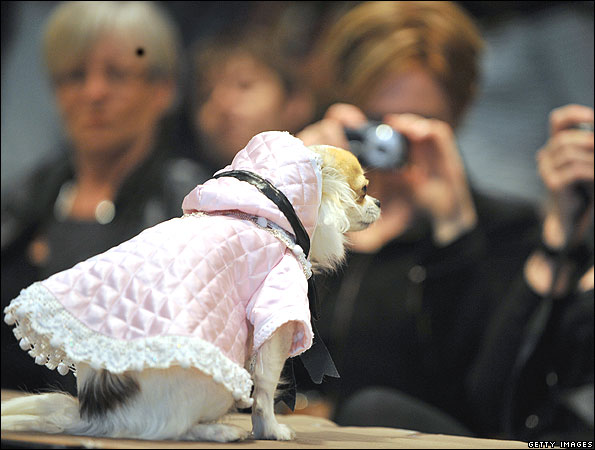 doggie.595.jpg