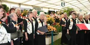 choir_300x150.jpg