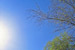 Sunny Day