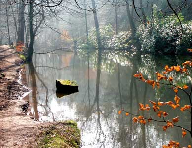 Dimmingsdale