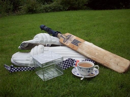 CricketingGlassBox2.JPG