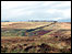 Peat bogs