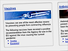 EMEA website