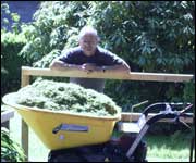 Grass clippings