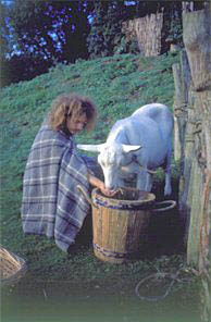 Animal husbandry