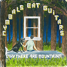 Review of Why There Are Mountains