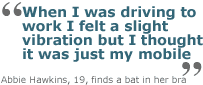 hawkins.gif