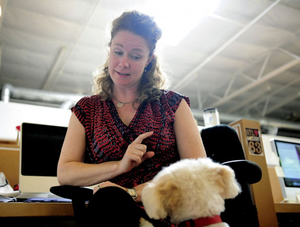 Dolly the dog gets take to work