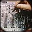 Microchip