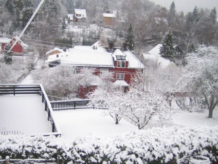 snow7.jpg