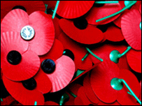 Remembrance Day poppies