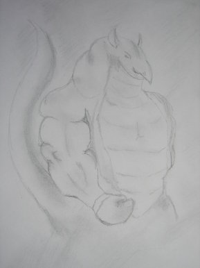 Boxing dragon