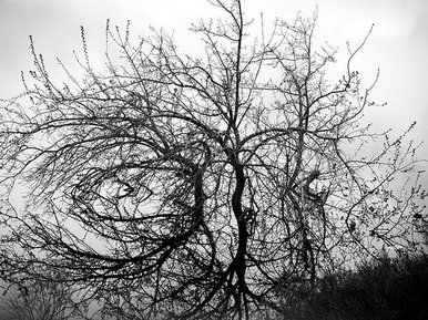 Eye to the eternity