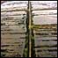 Thorne and Hatfield Moors (image: Peat bog)