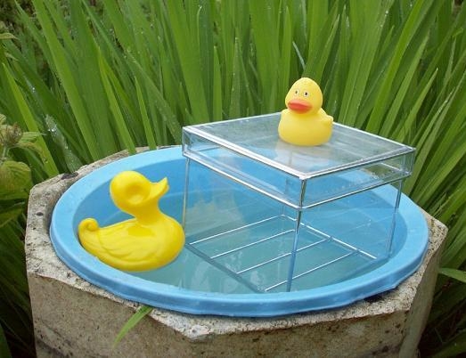 DuckHouse3.JPG
