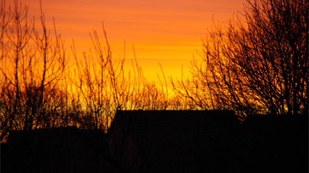 sunrise_robin_jenkins.jpg