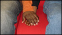 Holding hands