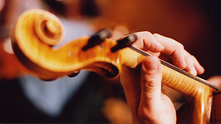 The fiddle