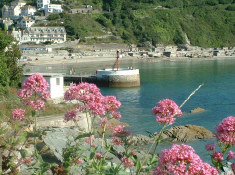 Looe - Banjo Pier