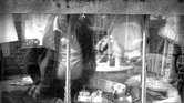 Life in a window...