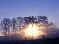 dawn