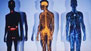 Body Images from BBC Health