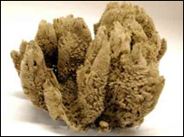 اسفنج