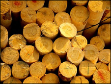 Pile of logs