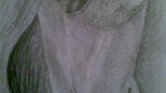 Horse's head...
