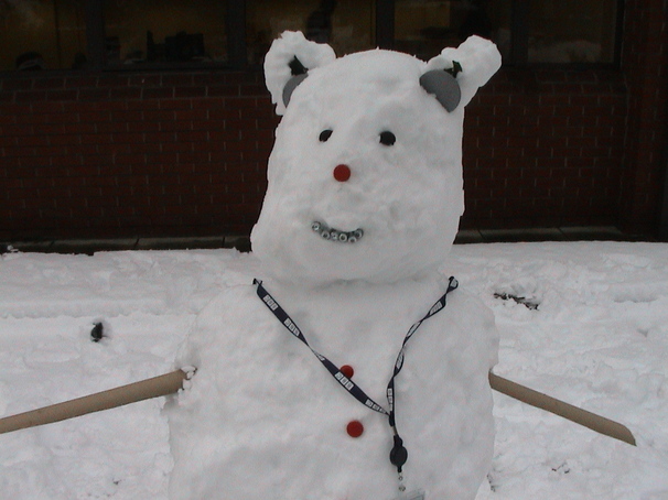 Powder the Bear