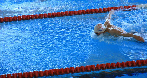 Jersey Swimmers