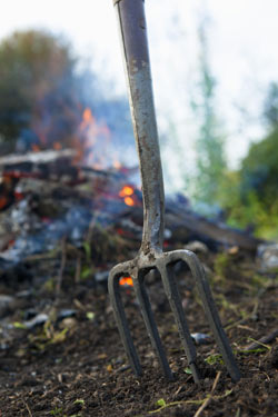 bonfire