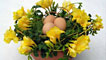 Detail from William Graham's photograph: Egg basket in the snow