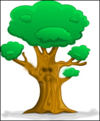 درخت
