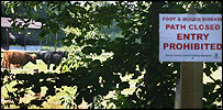 Cattle graze on a farm close to Pirbright in Surrey