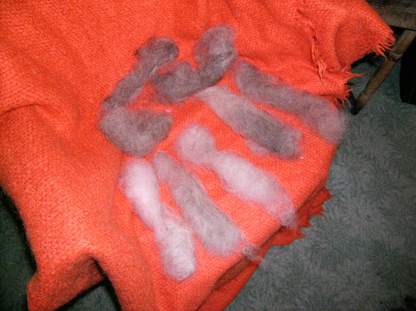 Rolags