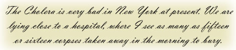 Excerpt from a letter