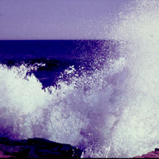 waves226x226.jpg