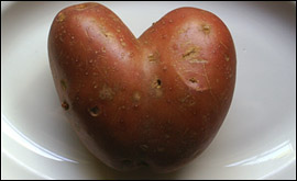 Potato
