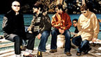Super Furry Animals